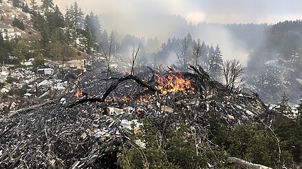 7 Ontario Areas With Rising Wildfire Risk (And Insurance Impacts)